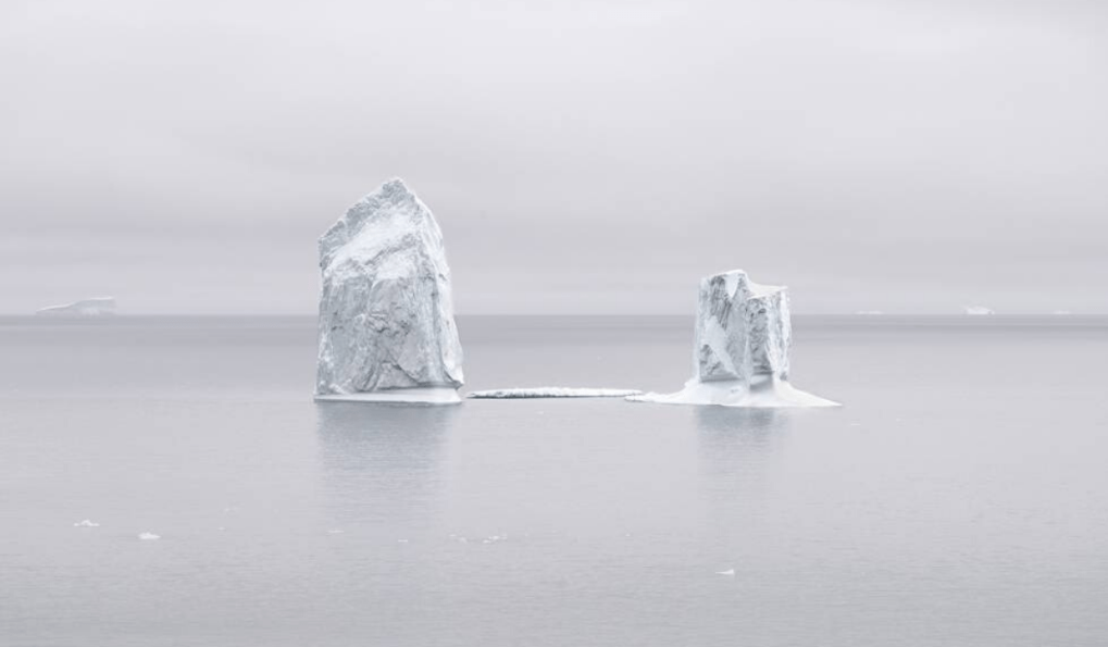Fernando-Moleres-fotografía-naturaleza